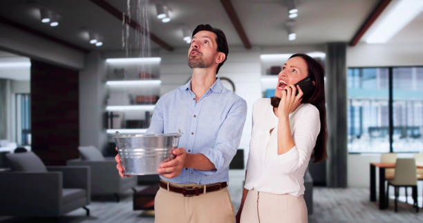 Best Water damage restoration specialists  in USA